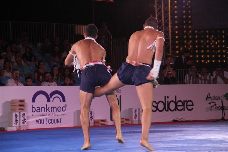 Martial Arts Festival